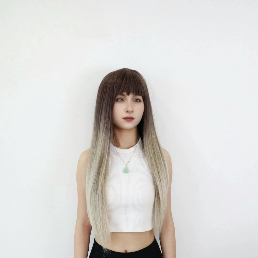 Eliana Grey Long Straight Wig with Bangs